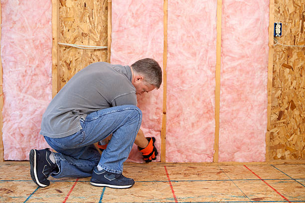 Best Insulation Installation Services in Peoria Heights, IL