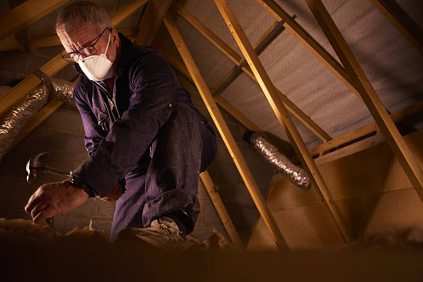 Best Insulation Maintenance and Repair in Peoria Heights, IL